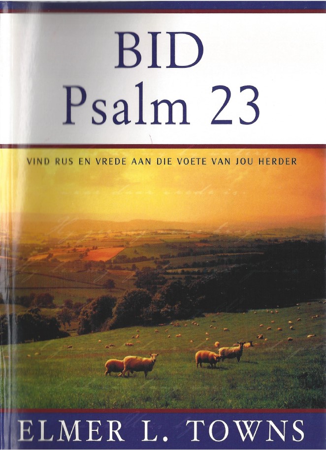 Title details for Praying the 23rd psalm by Elmer Towns - Available